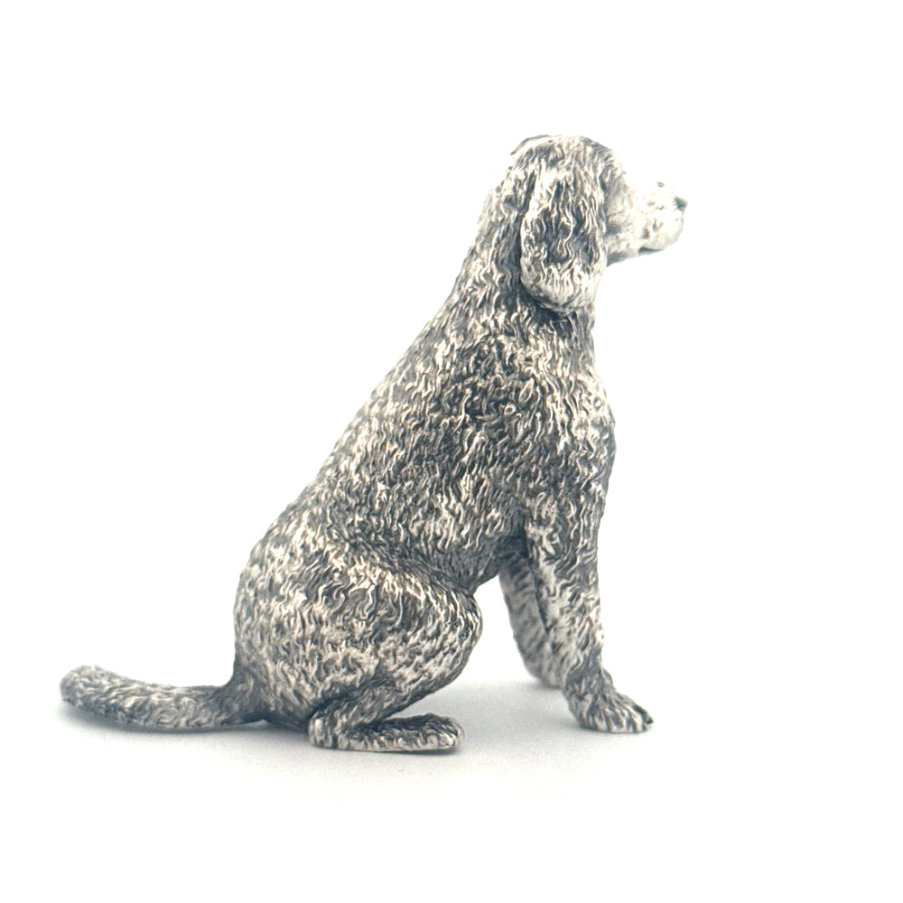 Labradoodle