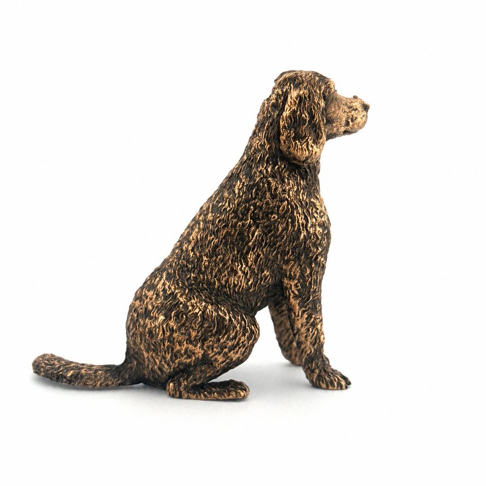 Labradoodle
