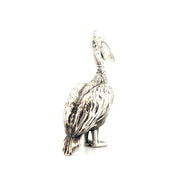 Pelican