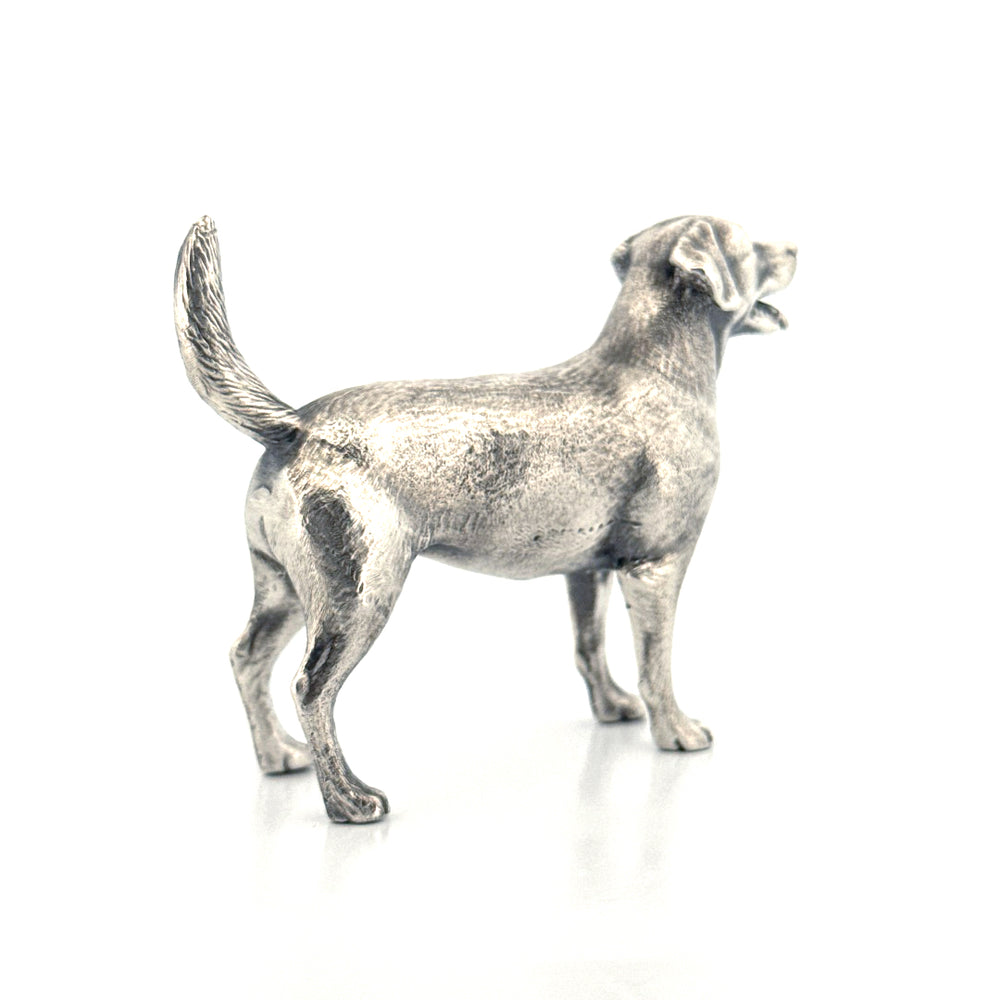Labrador