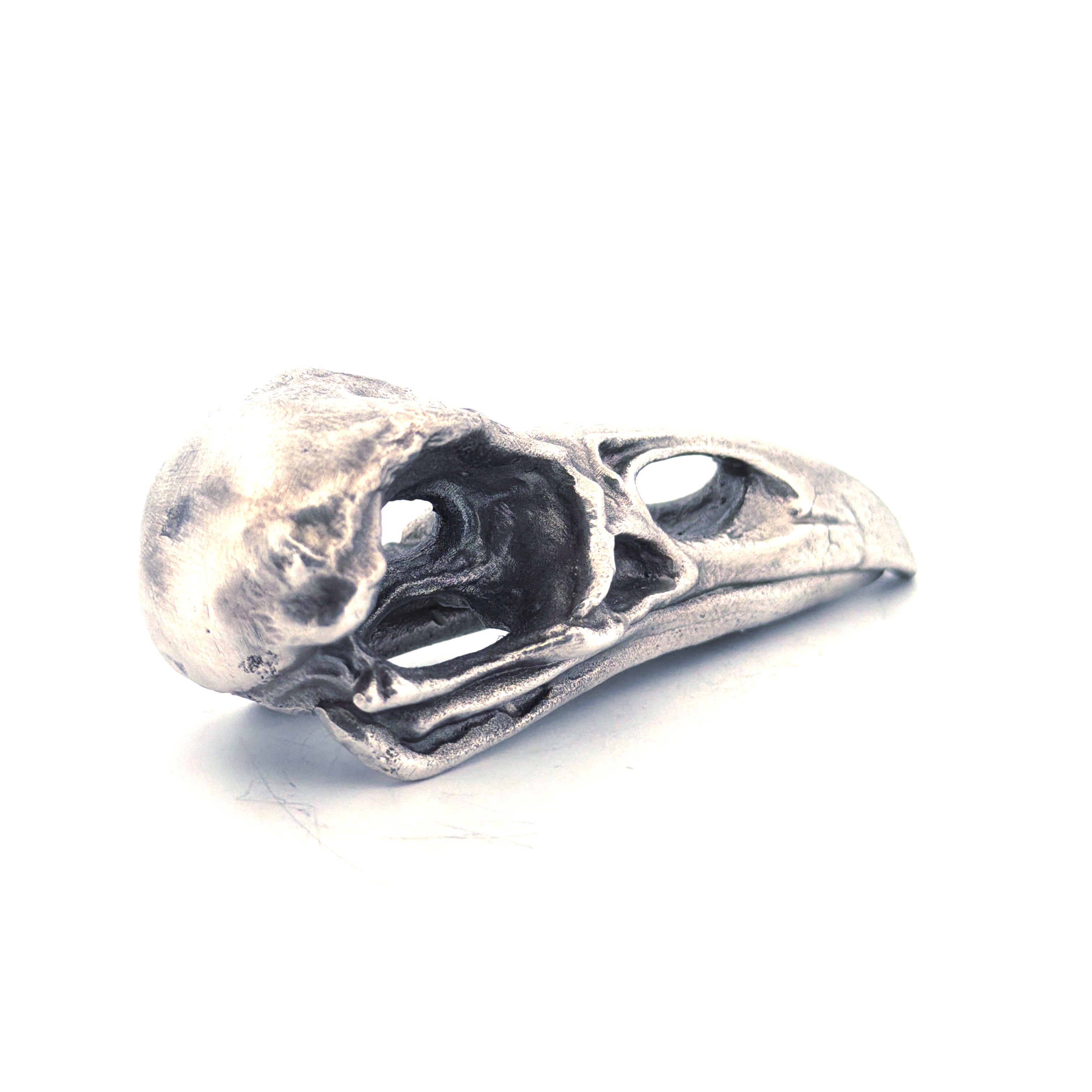Raven Skull