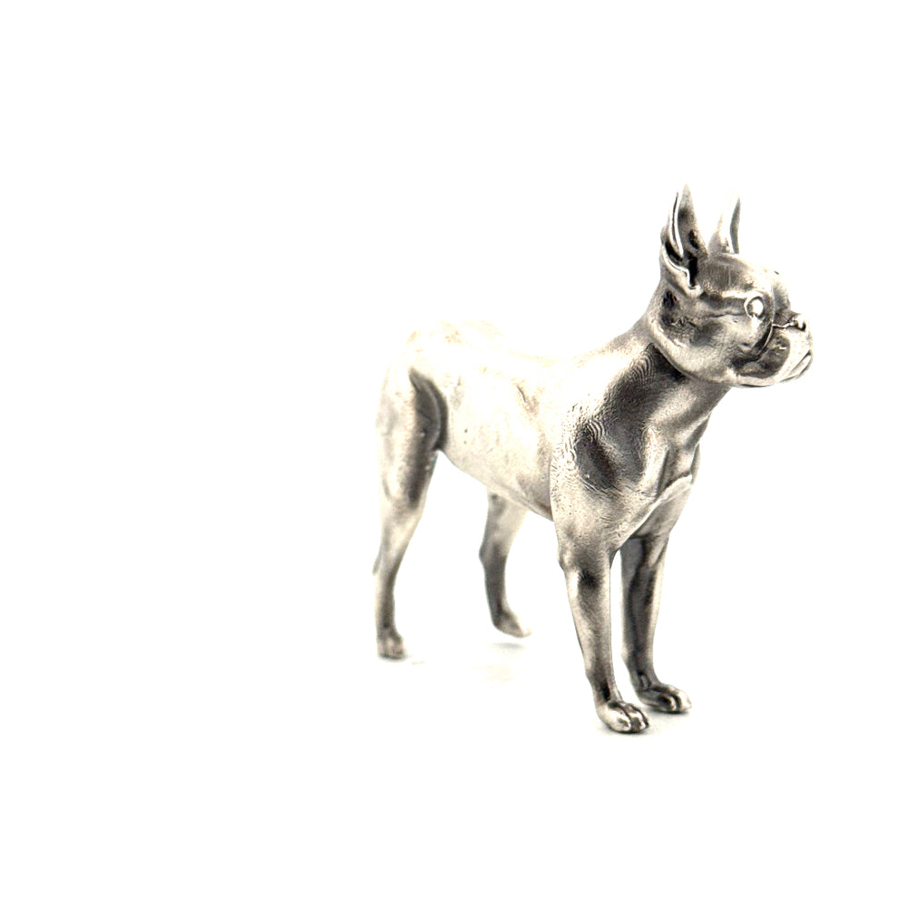 Boston Terrier V2