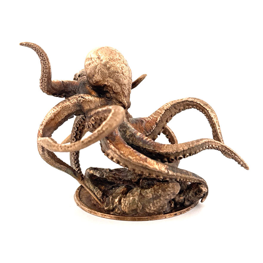The Kraken