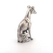 Whippet