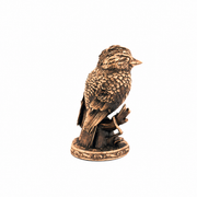 Kookaburra