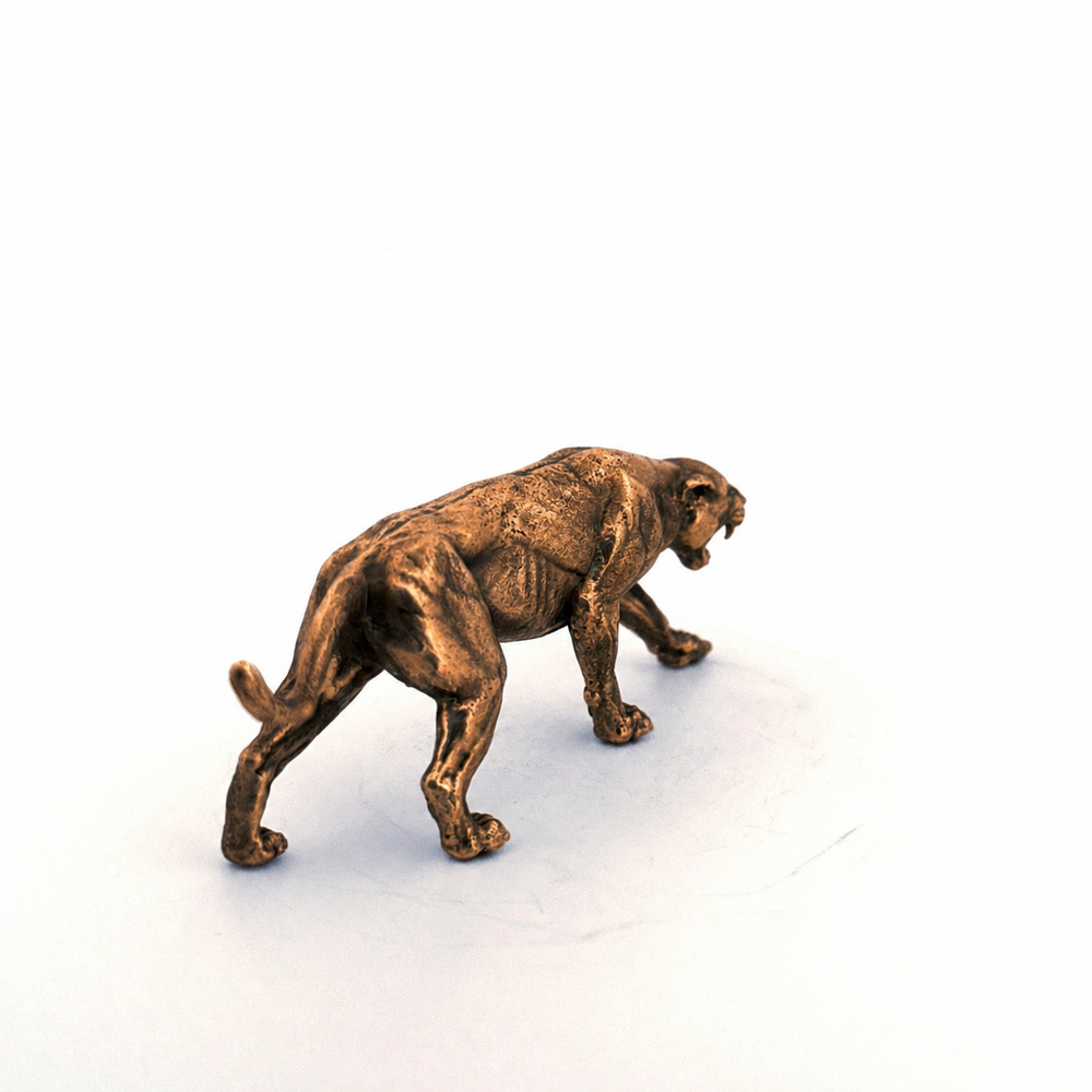 Cougar