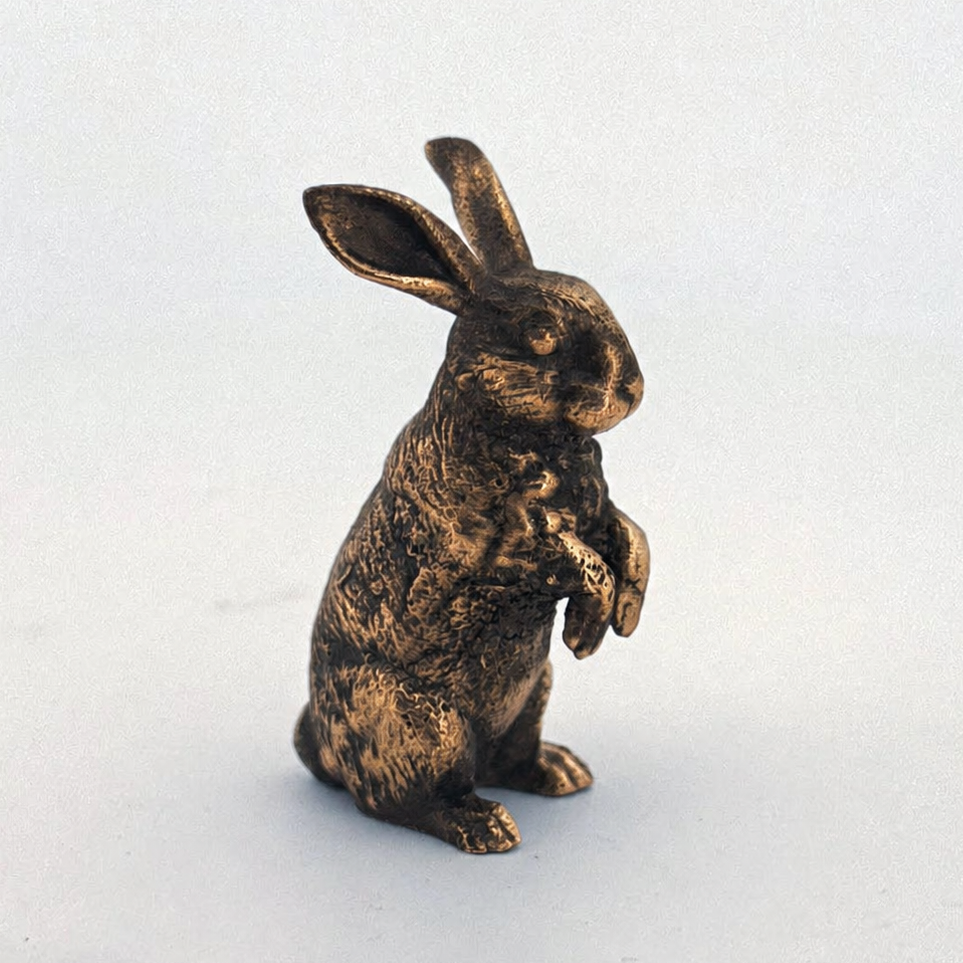 Bunny Rabbit
