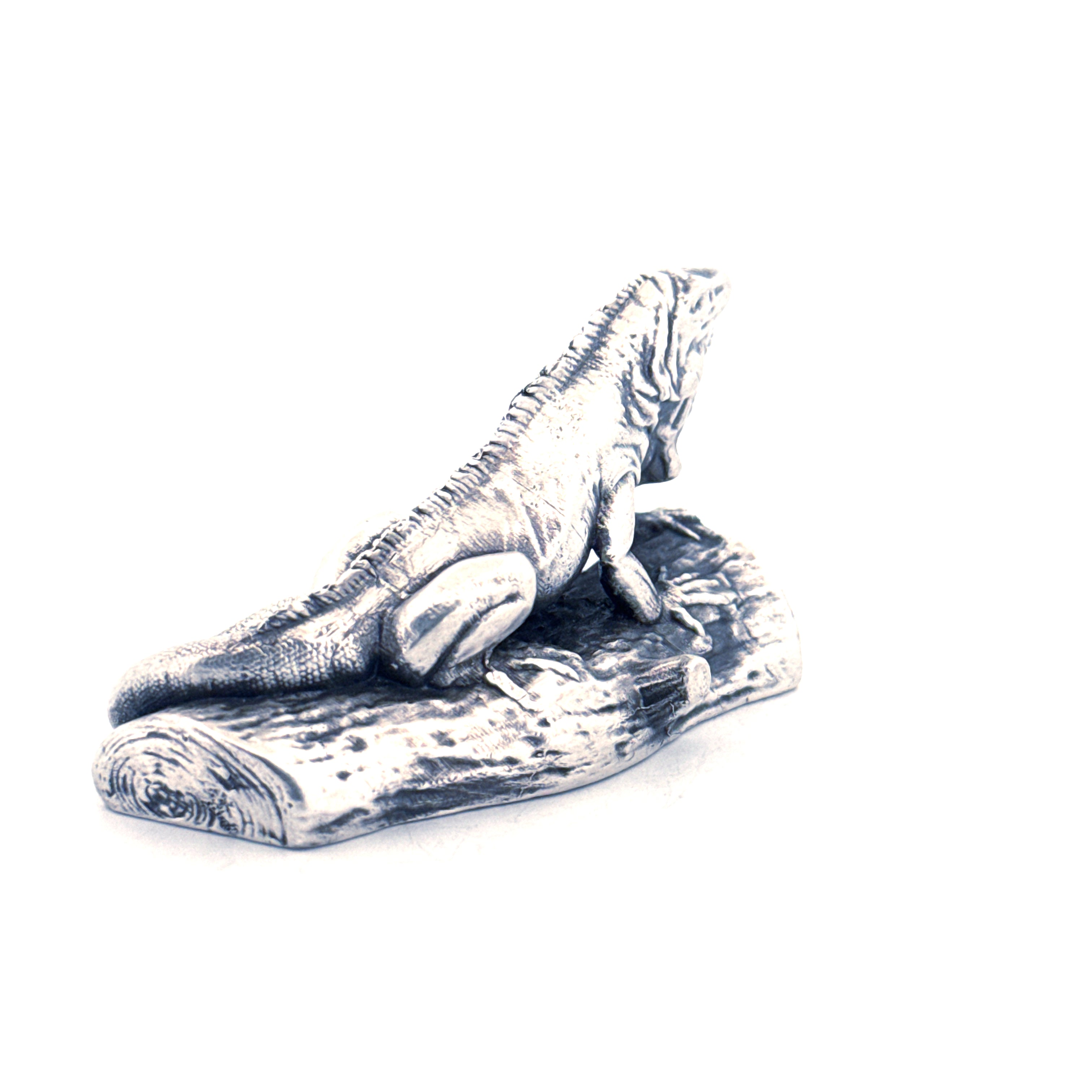 Iguana