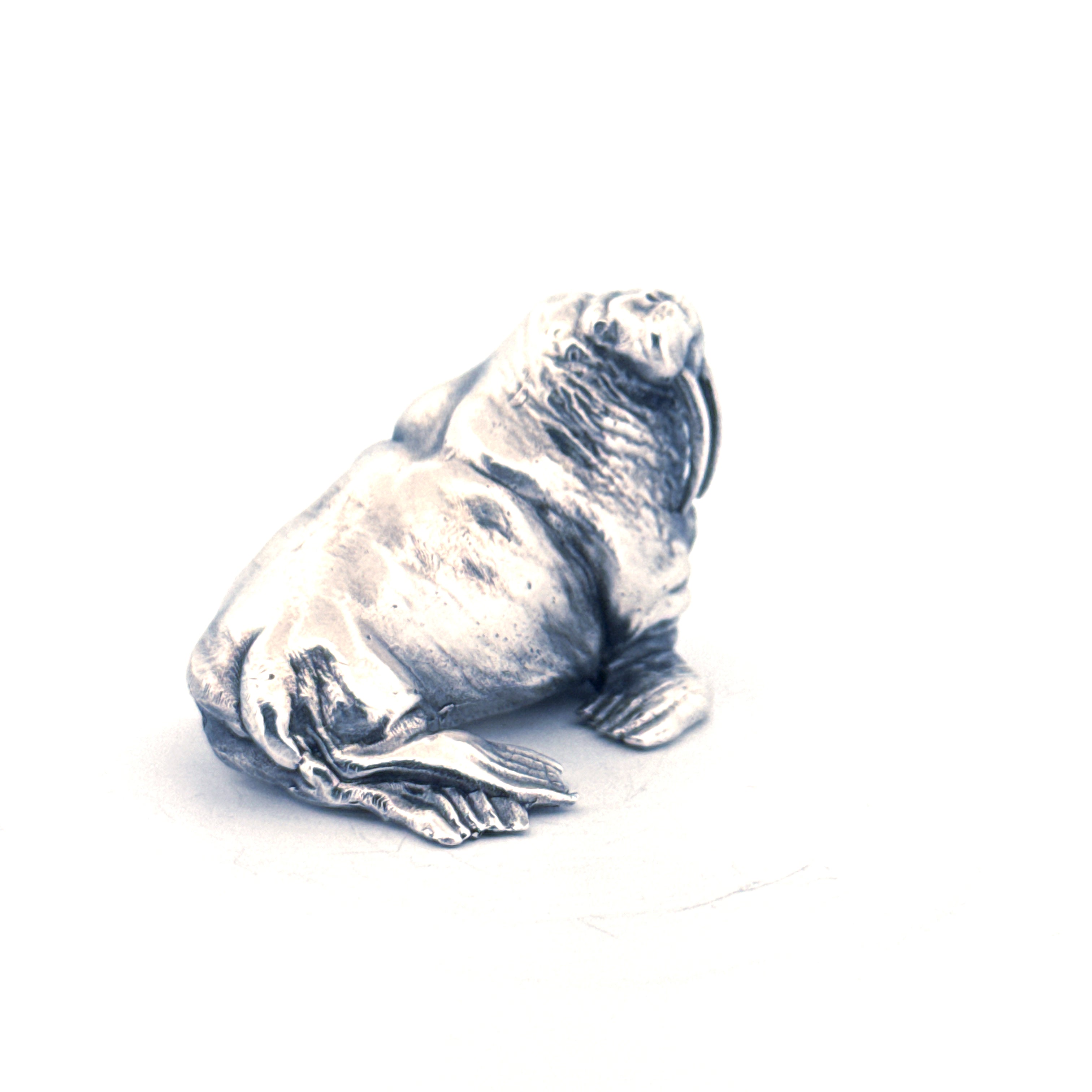 Walrus