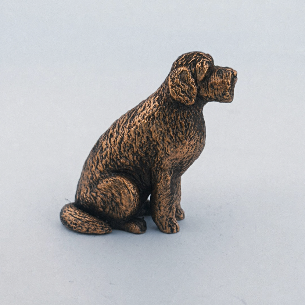 Golden Doodle
