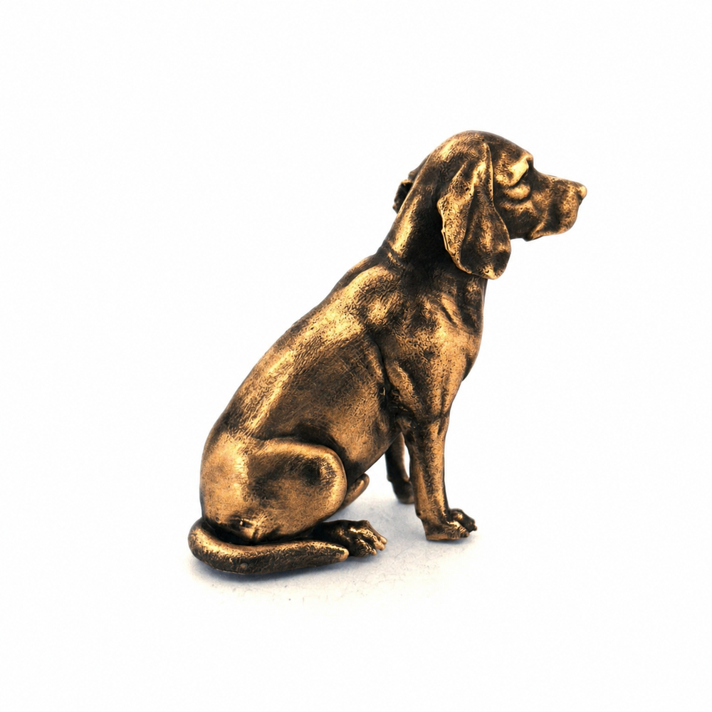 Beagle