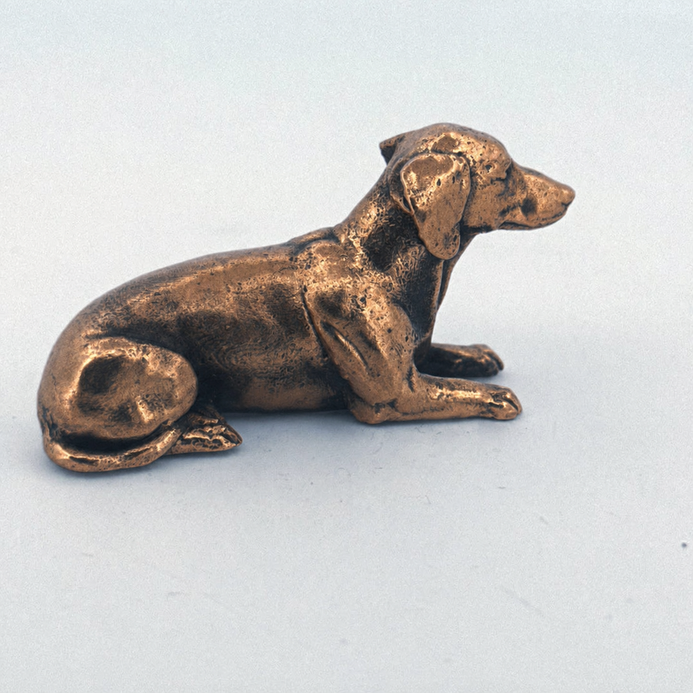 Dachshund