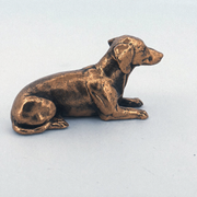 Dachshund
