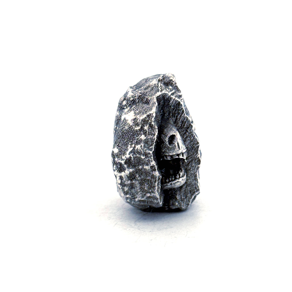 T-Rex Fossil