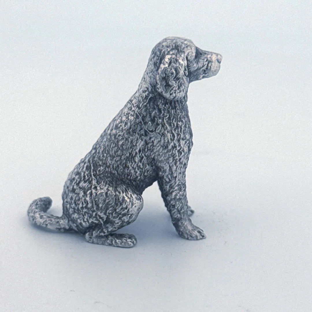 Labradoodle