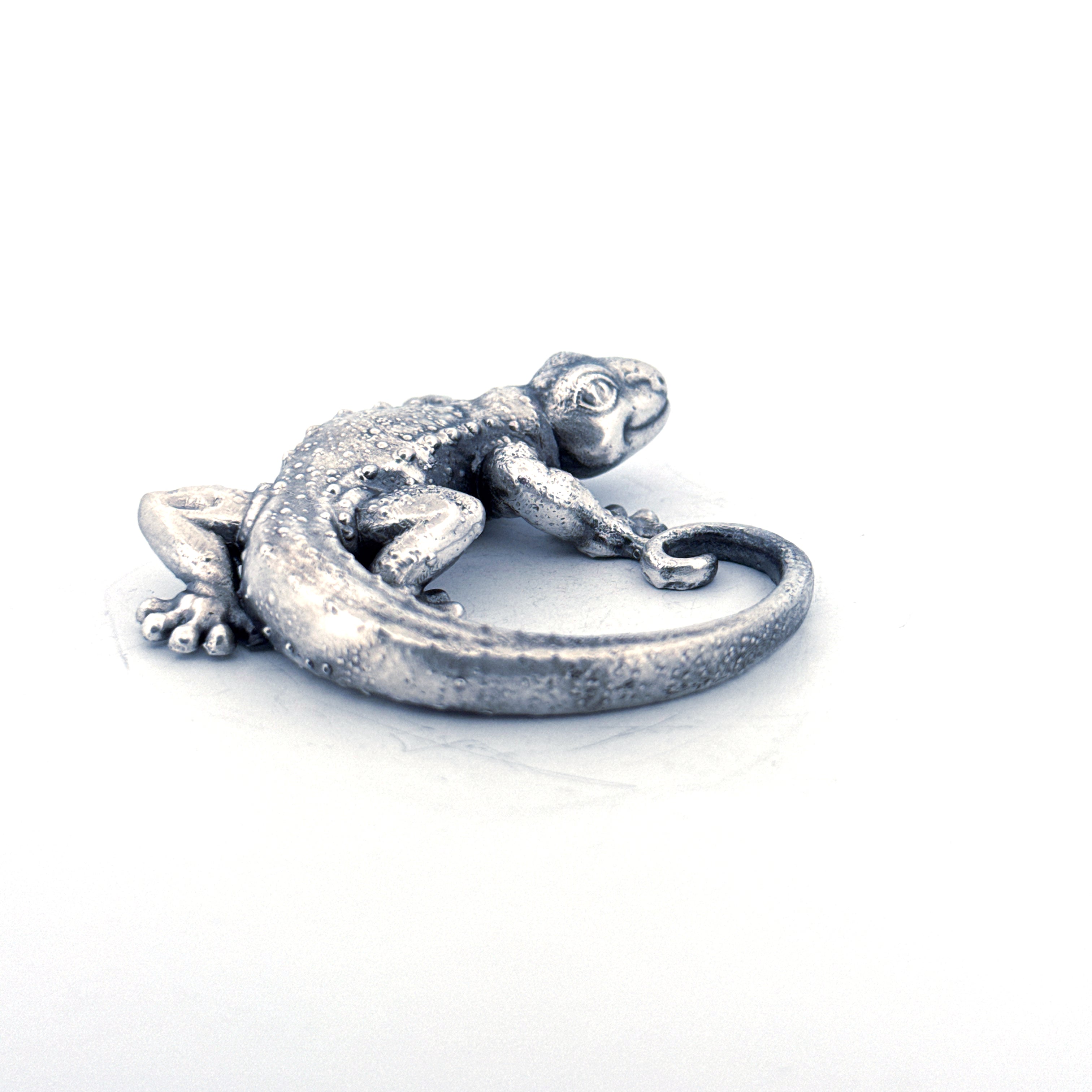 Silver Gecko