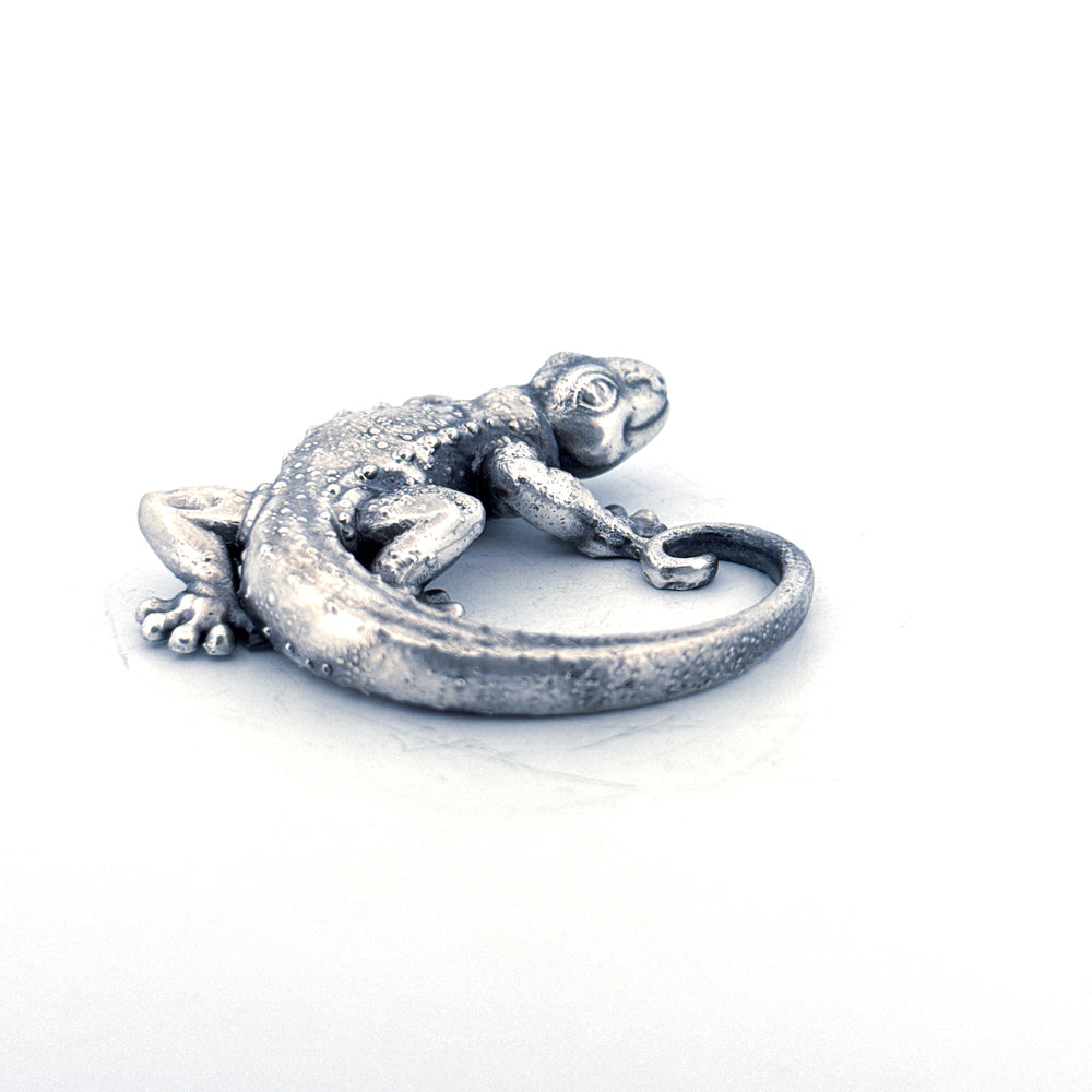 Silver Gecko