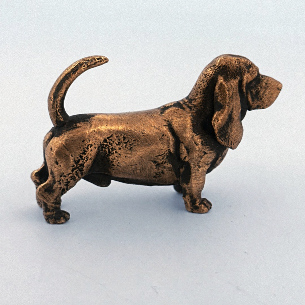 Basset Hound