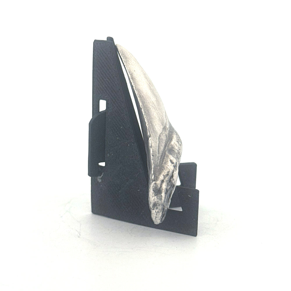 Shark Tooth