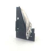 Shark Tooth