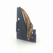 Shark Tooth
