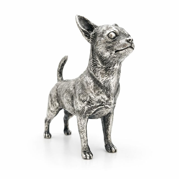 Chihuahua V2