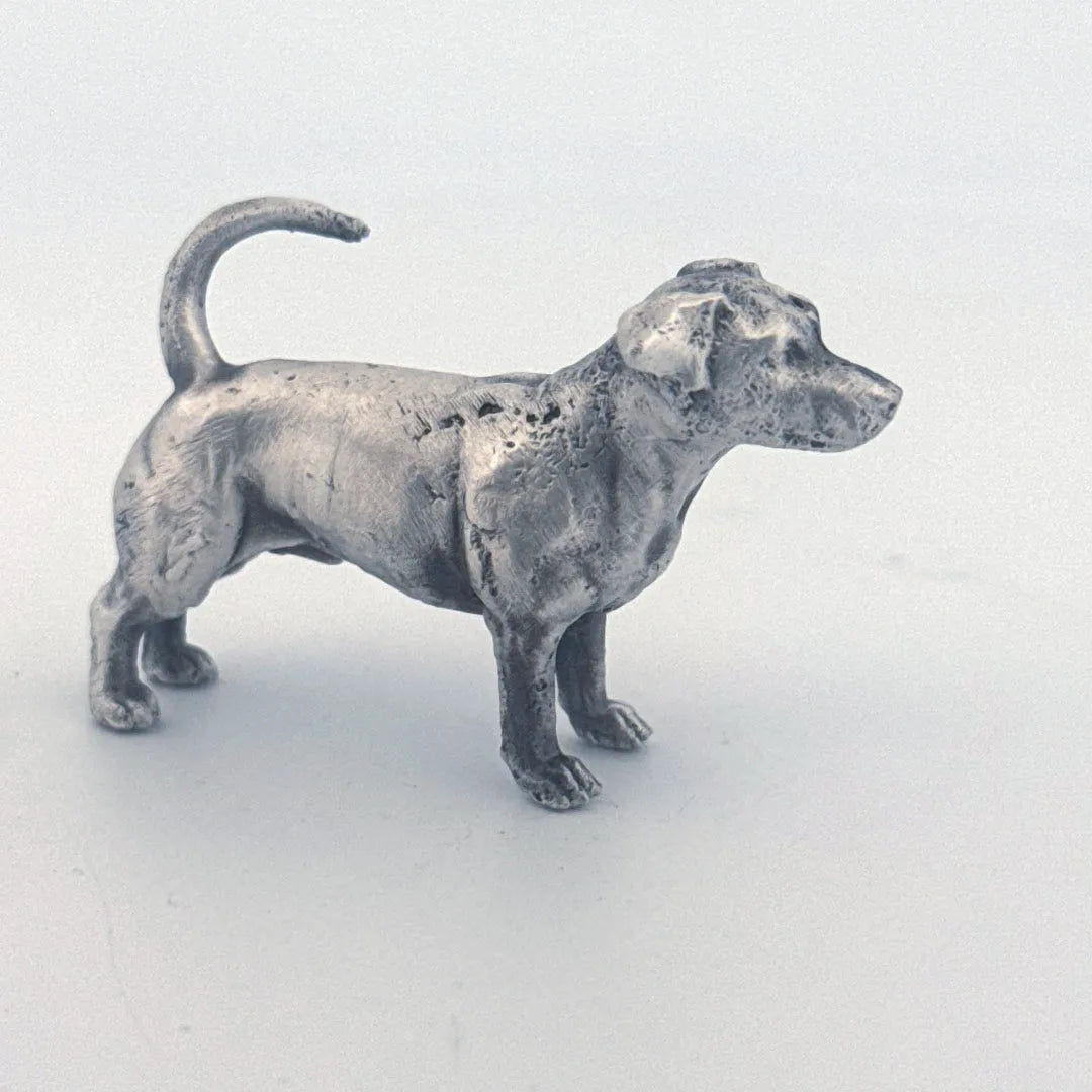 Jack Russell Terrier