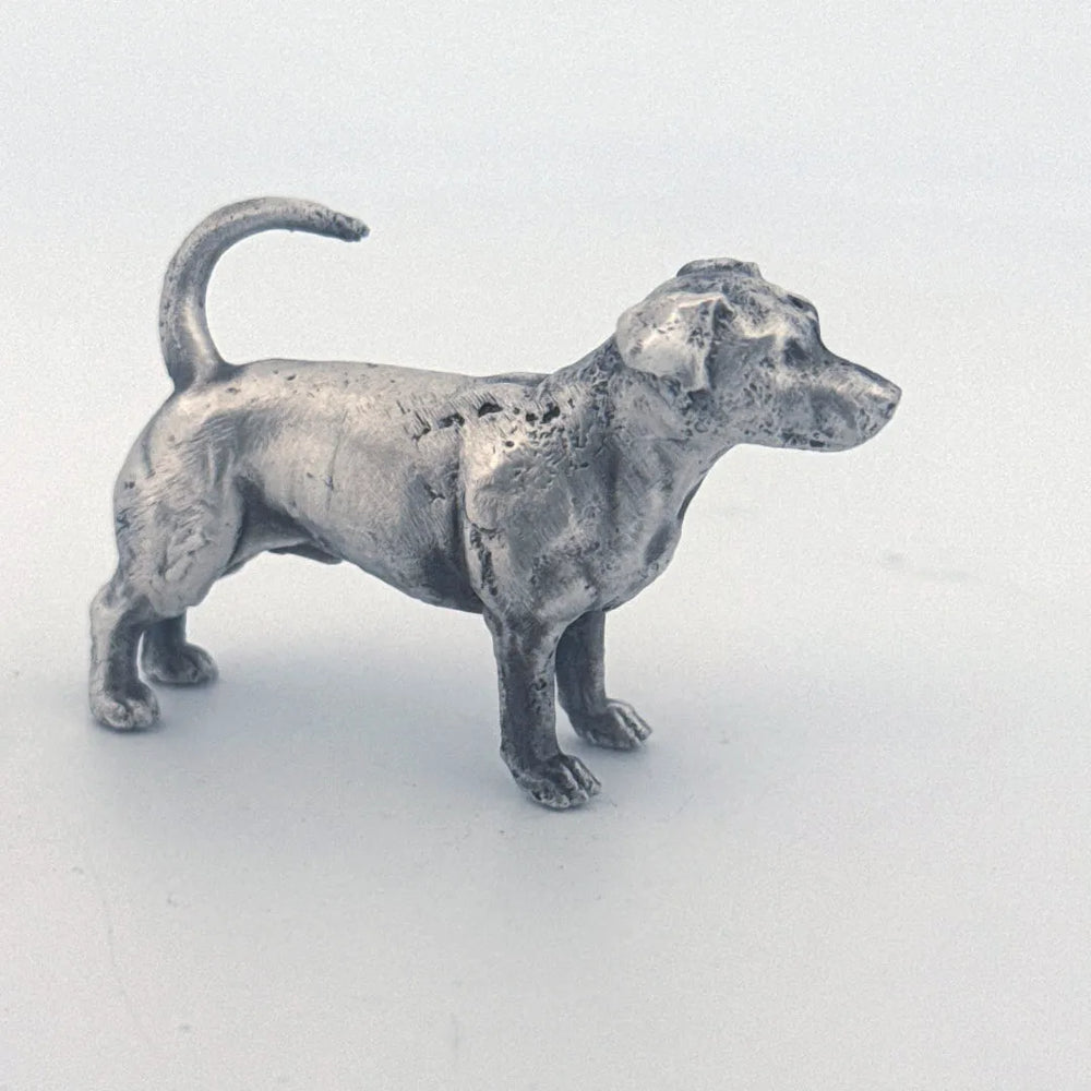 Jack Russell Terrier