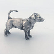 Jack Russell Terrier