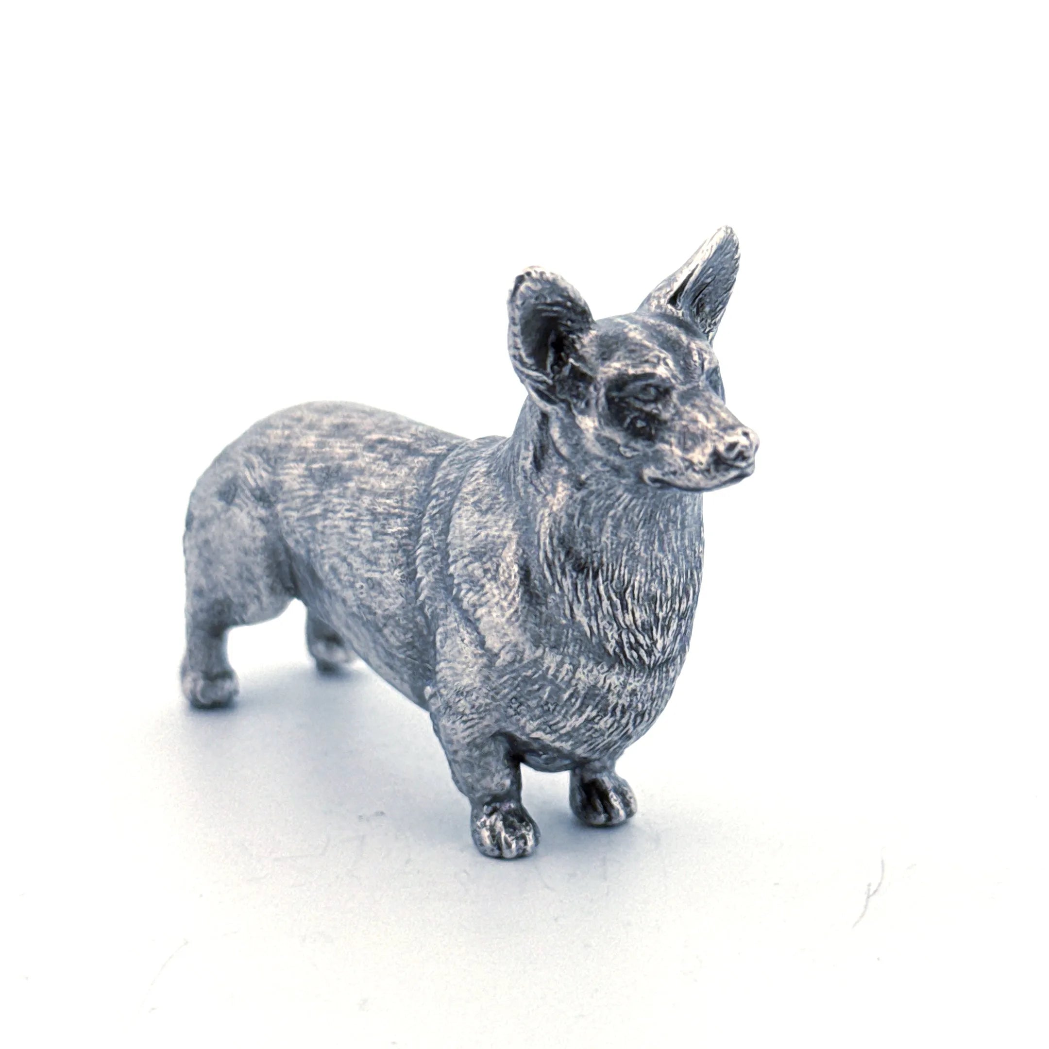 Corgi