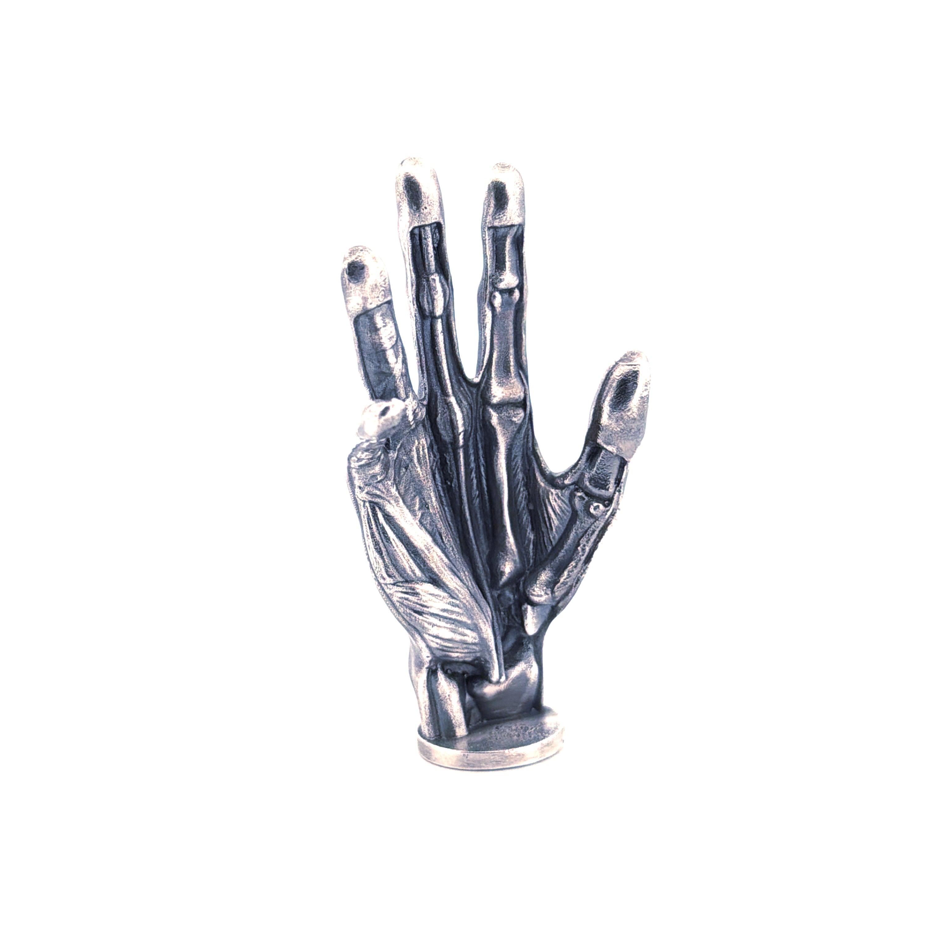 Anatomical Hand