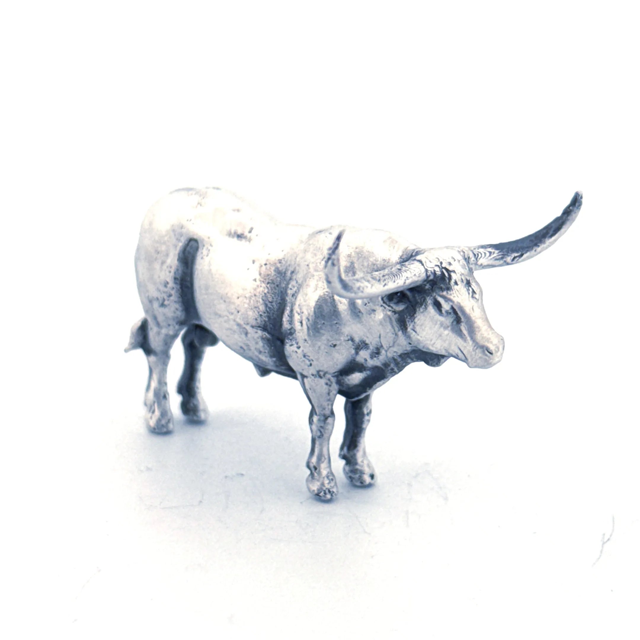 Longhorn