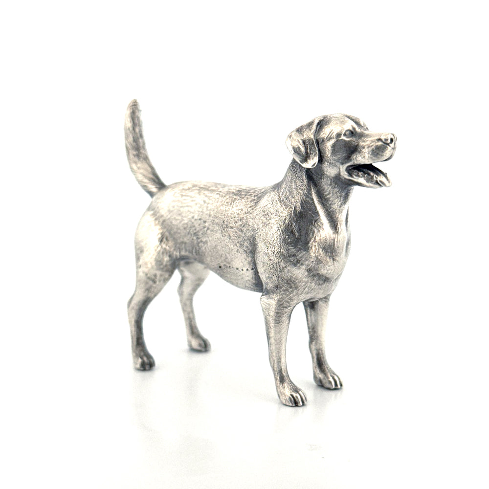 Labrador