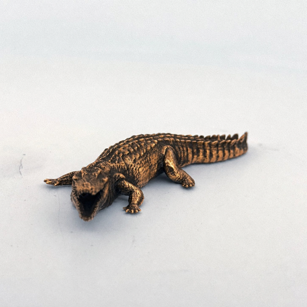 Crocodile