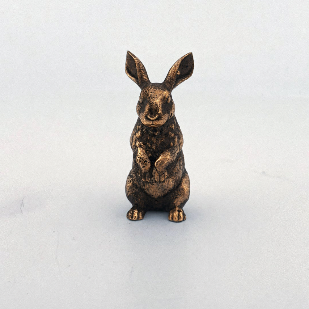 Bunny Rabbit
