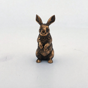 Bunny Rabbit