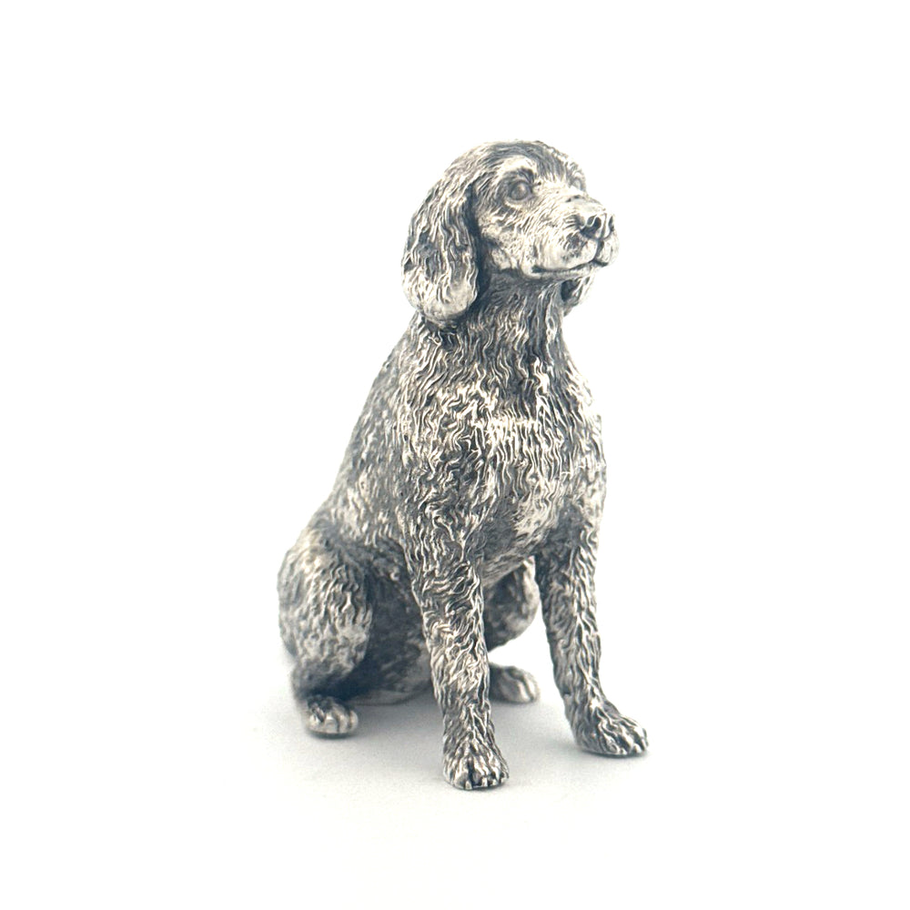 Labradoodle