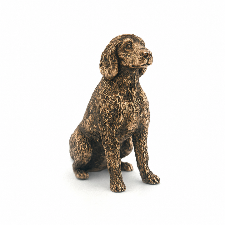 Labradoodle