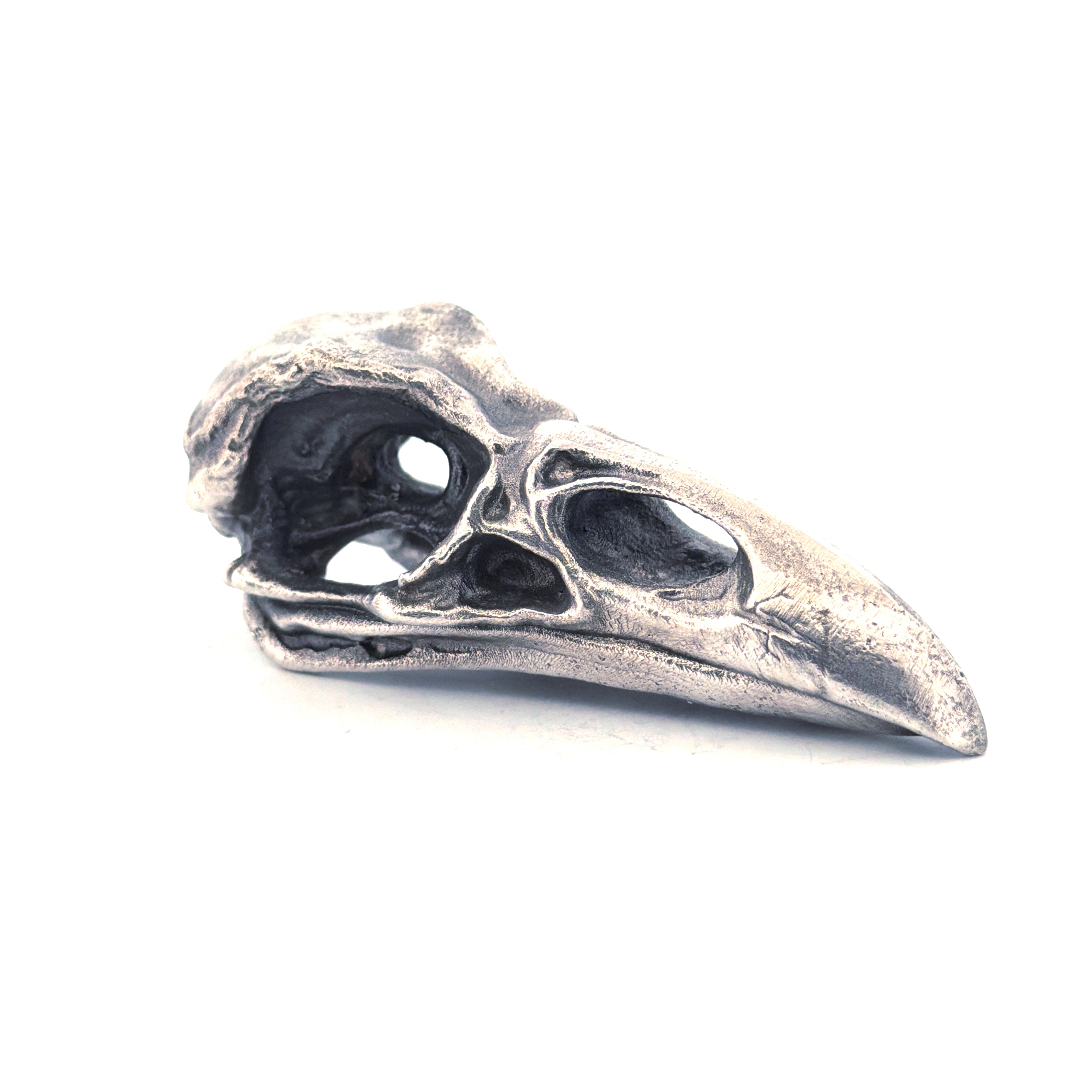 Raven Skull