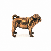 Pug