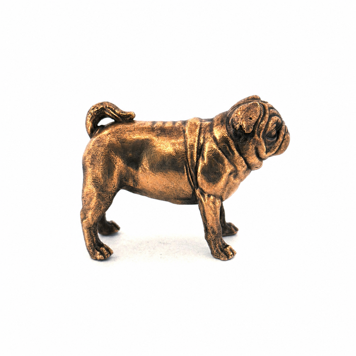 Pug