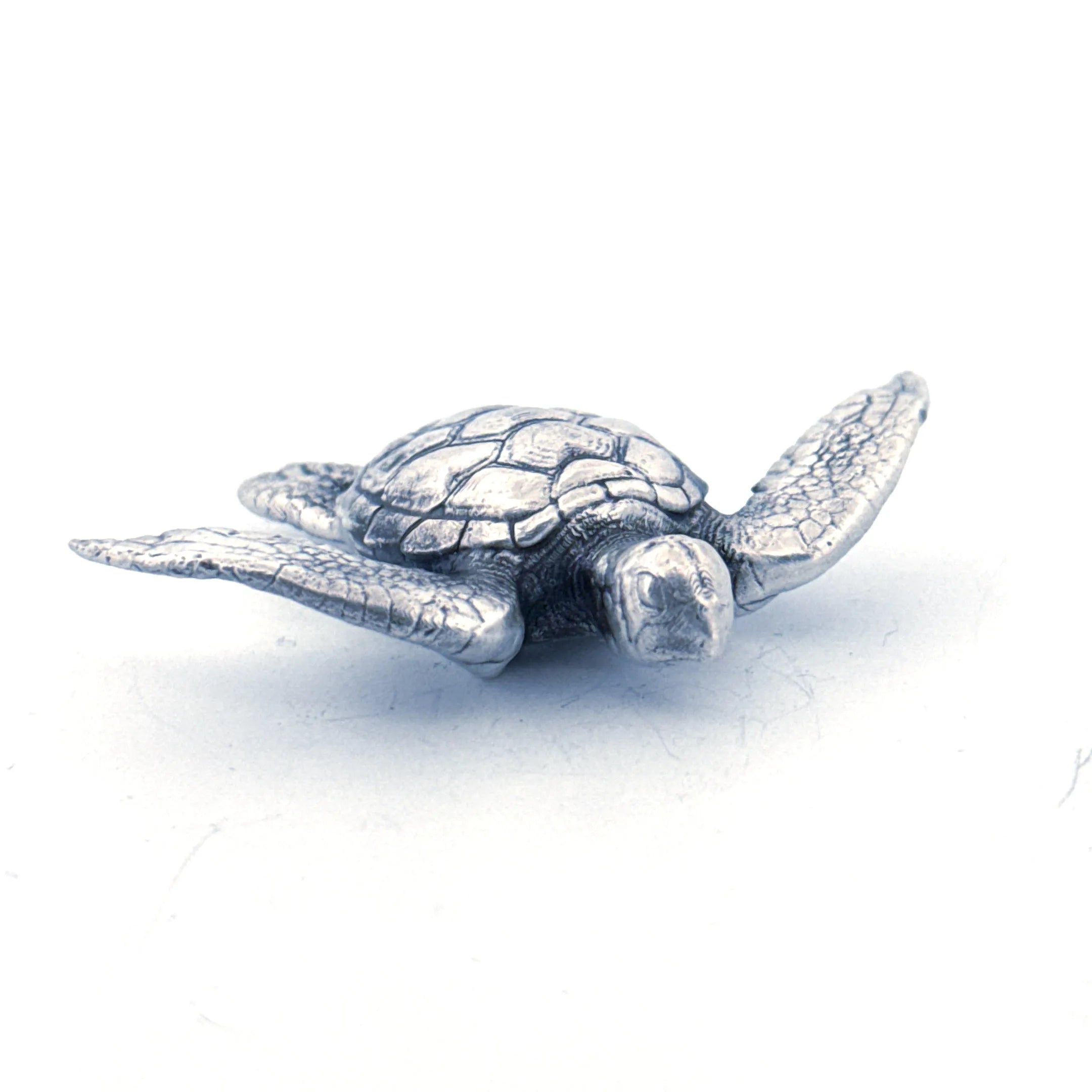 Sea Turtle