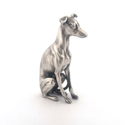 Whippet