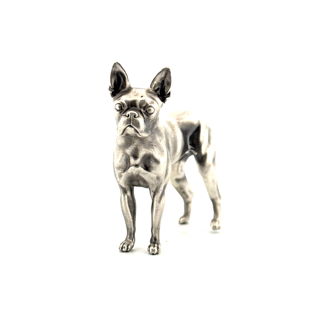 Boston Terrier V2