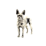 Boston Terrier V2