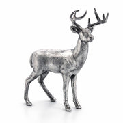 White Tailed Deer