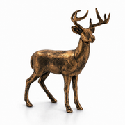 White Tailed Deer