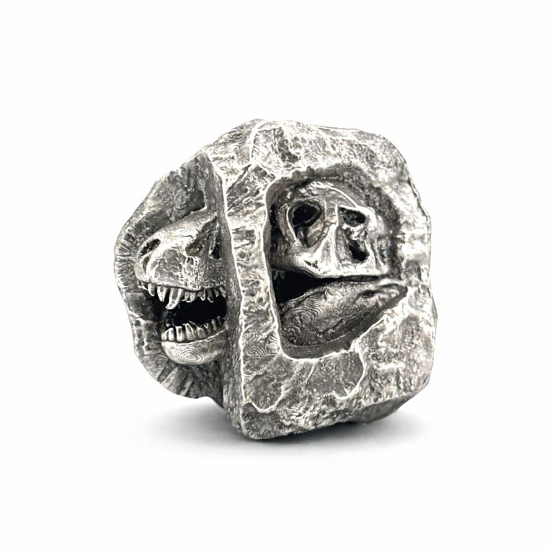 T-Rex Fossil