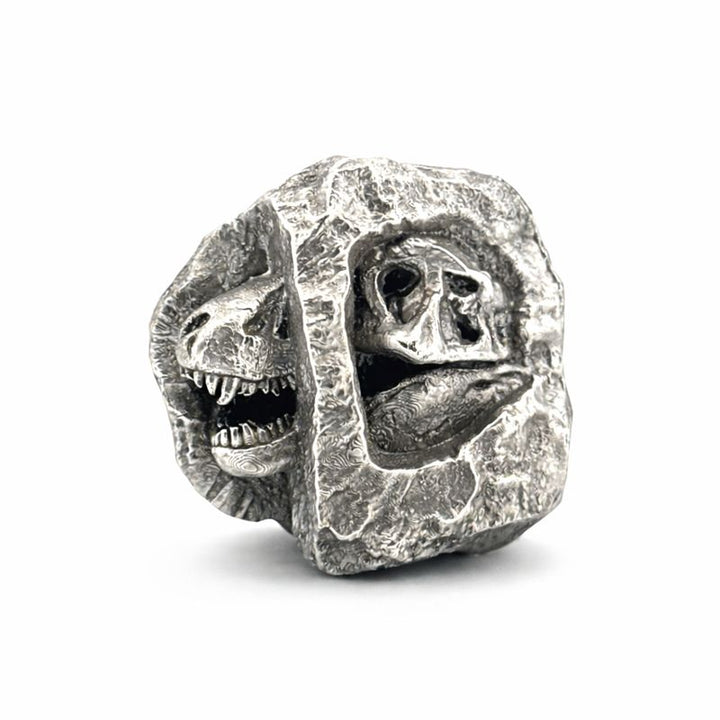 T-Rex Fossil