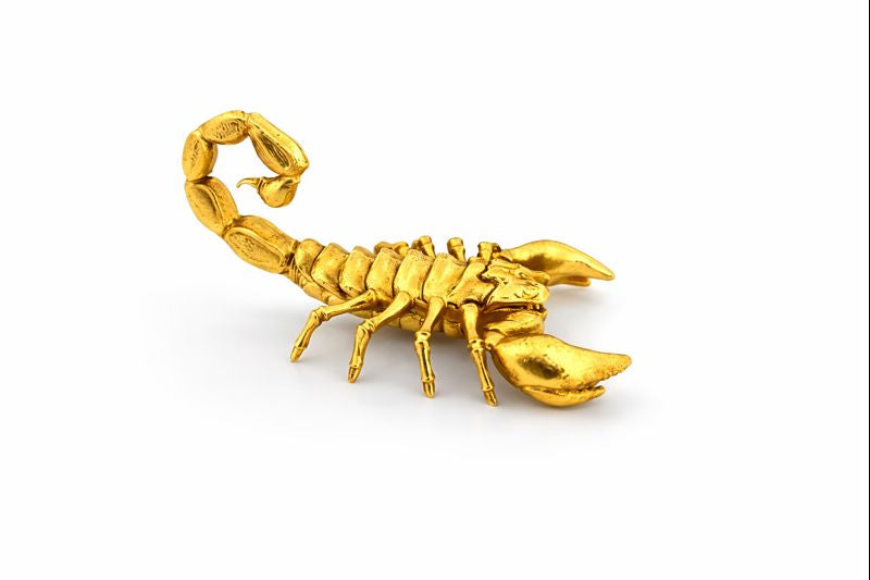 Scorpion